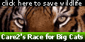 Save the Big Cats - Care2.com