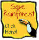 Save the Rainforest - Care2.com